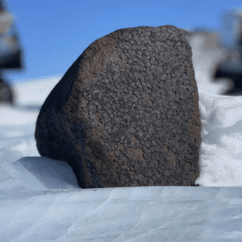 Daily Dive # 004 | Searching for Meteorites in Antarctica